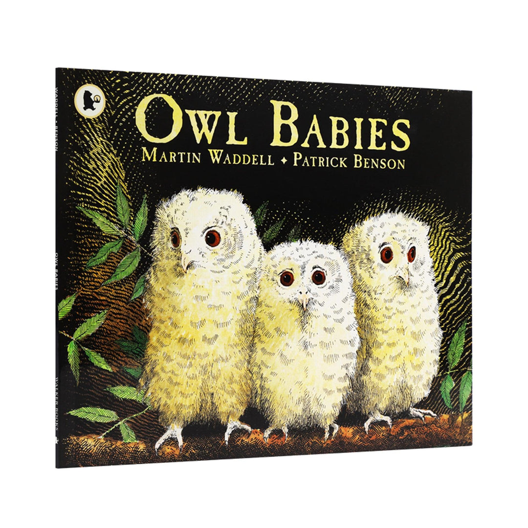點讀] Owl Babies 貓頭鷹寶寶英文溫馨繪本故事(適合3-8歲)｜廖彩杏有聲書單】小朋友書– Little Llama 小羊駝雜貨店