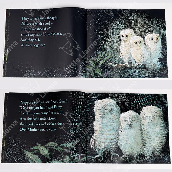 [點讀] Owl Babies 貓頭鷹寶寶 英文溫馨繪本故事 (適合3-8歲)｜廖彩杏有聲書單 - Little Llama 小羊駝雜貨店