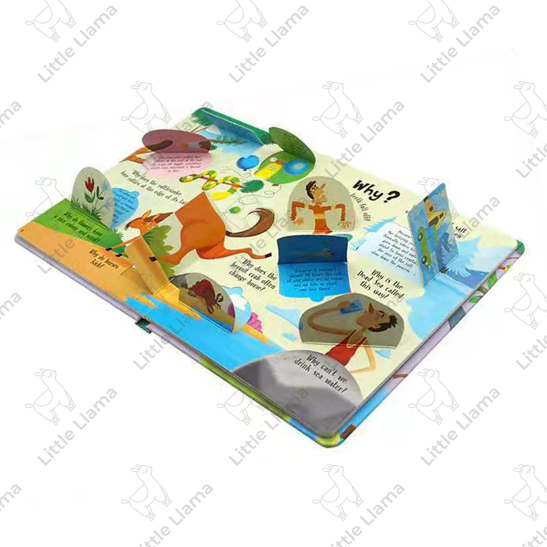 Lift-A-Flap Book 科學大探索兒童英語科普百科書英語立體繪本(6